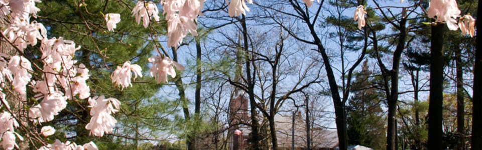New to Union UCC?